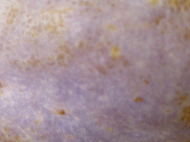 d0147727_19234395.jpg