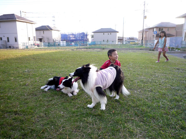 d0059230_8313943.jpg