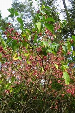 c0134734_16584890.jpg