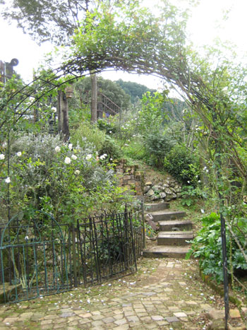 f0061334_2162754.jpg