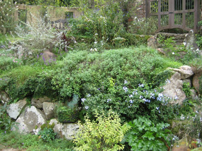 f0061334_216555.jpg