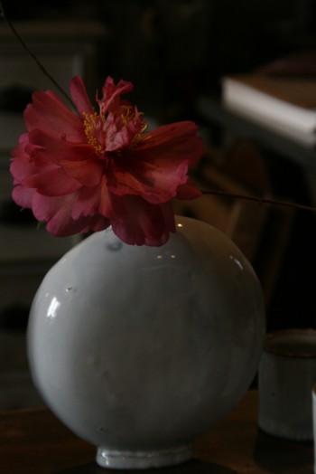 e0156038_7263342.jpg
