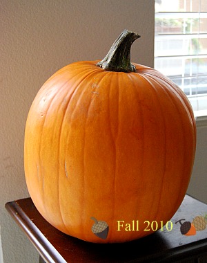 f0162440_2358138.jpg