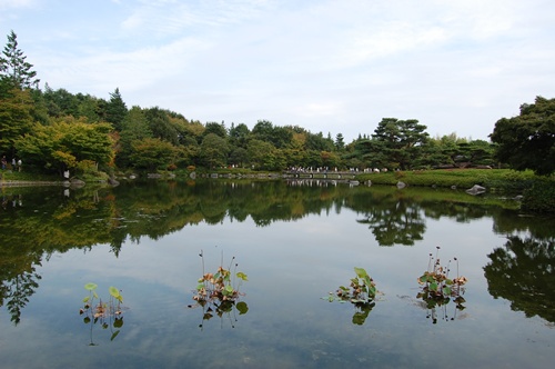 日本庭園２