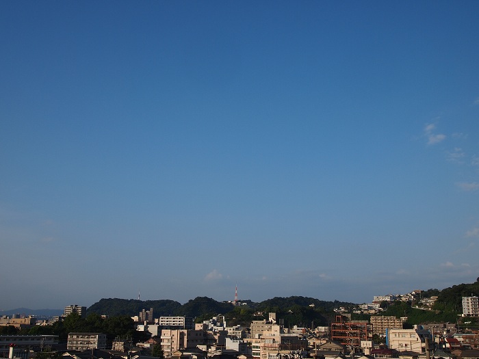 a0146442_7522471.jpg