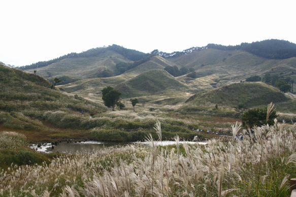 f0039446_20363475.jpg