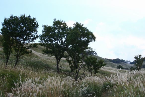 f0039446_20385849.jpg