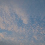 b0178548_2230258.jpg