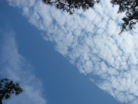 c0225153_14313049.gif