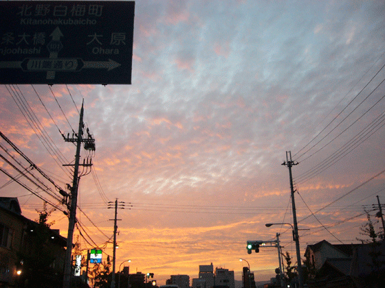 c0225153_14321254.gif