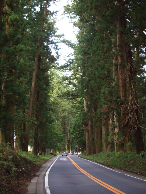 b0024261_11132956.jpg