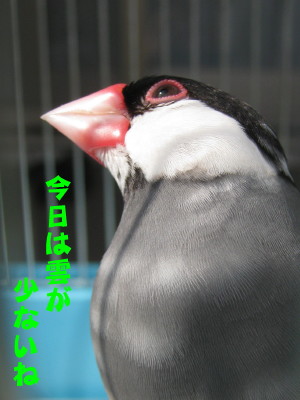 b0158061_21154619.jpg