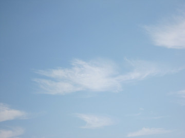 c0073564_8415533.jpg