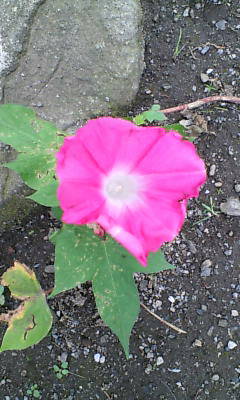 a0143465_17485995.jpg
