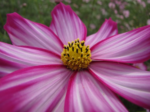 b0183566_11373479.jpg