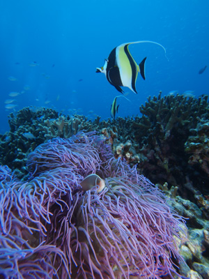 b0138768_8575171.jpg