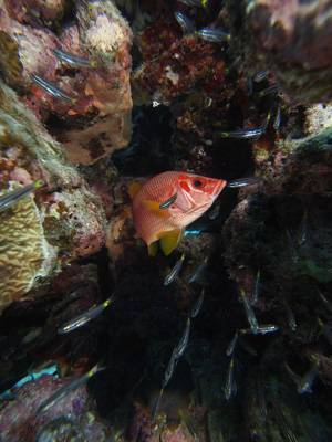 b0138768_902951.jpg
