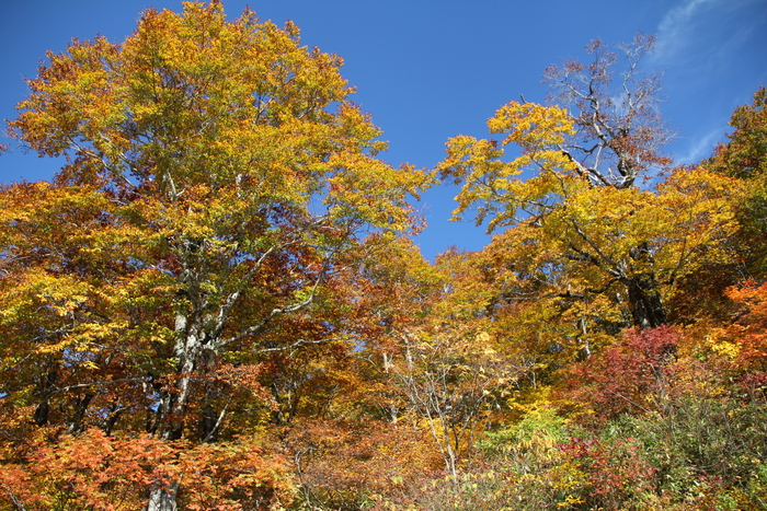 f0223068_758190.jpg