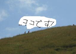 c0042869_7184027.jpg