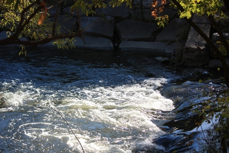 a0100975_10425143.jpg