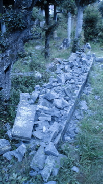 f0054677_9211383.jpg