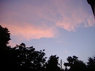 a0142083_10213714.jpg