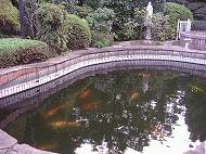 a0142083_1102324.jpg