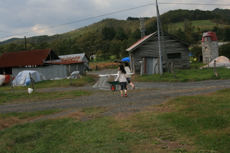 d0082288_20223411.jpg