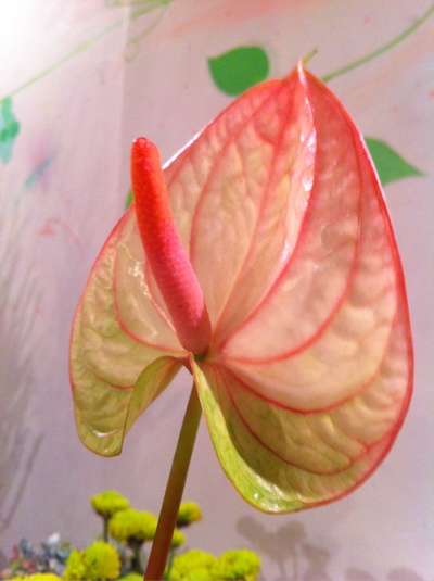 a0160389_18591046.jpg