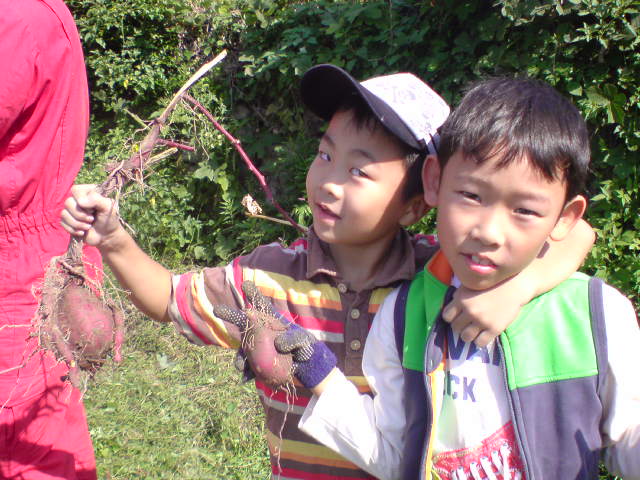 a0089790_2217338.jpg