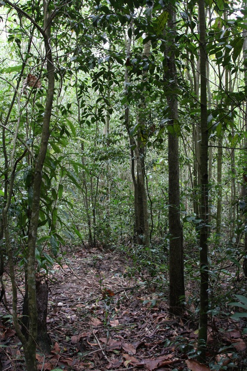 c0153690_259493.jpg