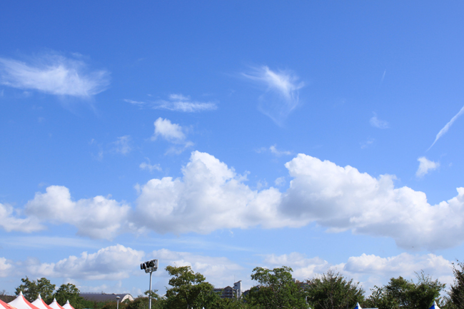 c0153292_17521673.jpg