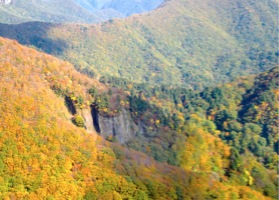c0151898_17422979.jpg