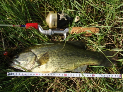 c0023804_20151716.jpg