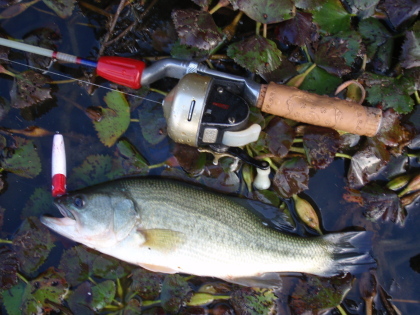 c0023804_2072769.jpg