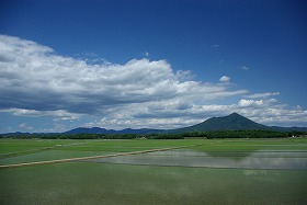 c0187004_143804.jpg