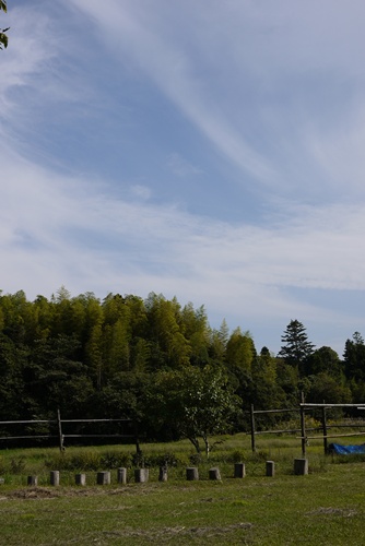 d0133704_143123.jpg