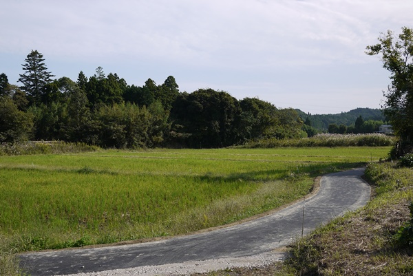 d0133704_14443327.jpg
