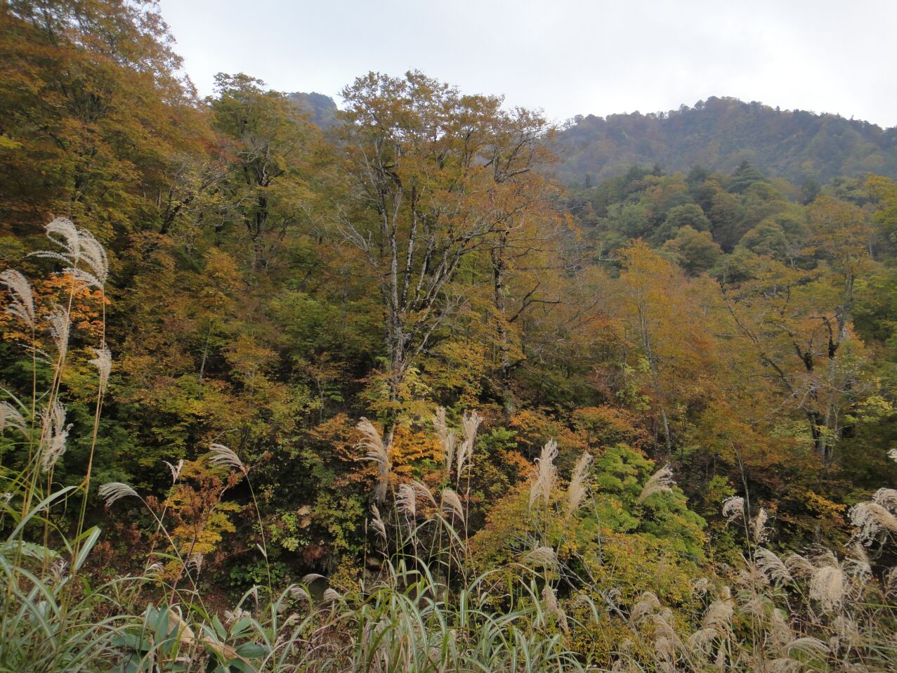 b0172805_2495541.jpg