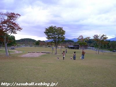 e0145805_1310418.jpg