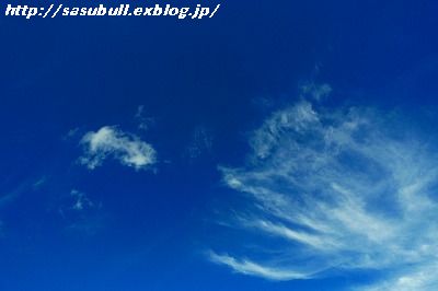 e0145805_1343375.jpg