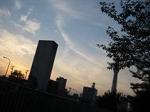 d0058606_1644184.jpg