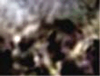 e0103408_18222282.gif