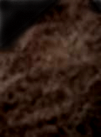 e0103408_18224892.gif