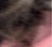e0103408_18231246.gif