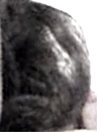 e0103408_1833515.gif
