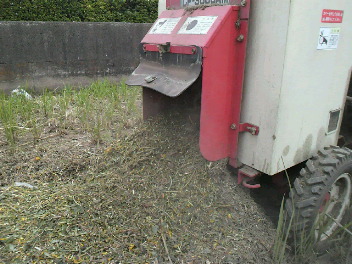 f0127408_23562114.jpg