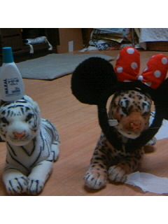 f0009509_8412864.jpg