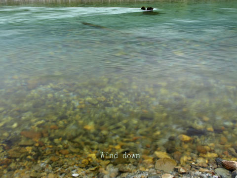 a0021110_1582658.jpg