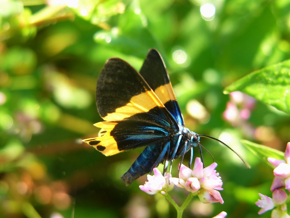 c0062511_23225822.jpg